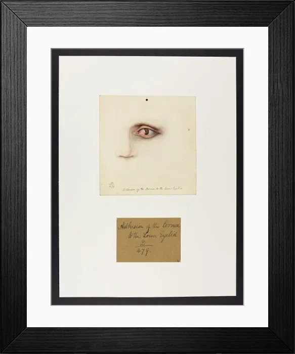 Framed Print : 13741672 Framed Print : 13741672