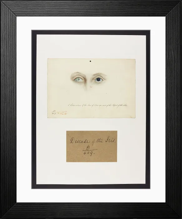 Framed Print : 13741665 Framed Print : 13741665