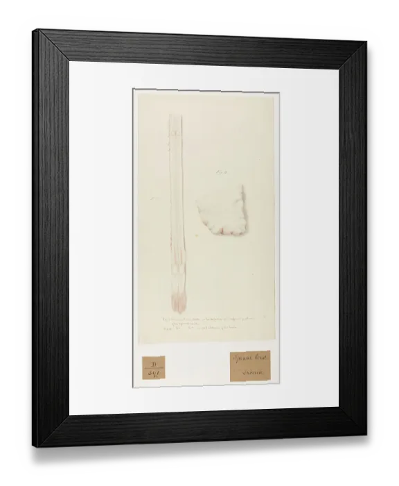 Framed Print : 13741680 Framed Print : 13741680