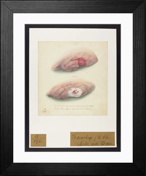 Framed Print : 13741681 Framed Print : 13741681