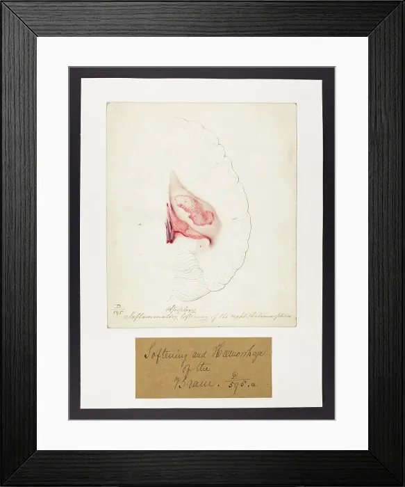 Framed Print : 13741684 Framed Print : 13741684