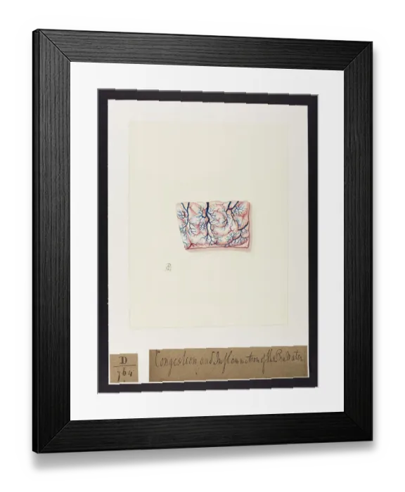 Framed Print : 13741688 Framed Print : 13741688