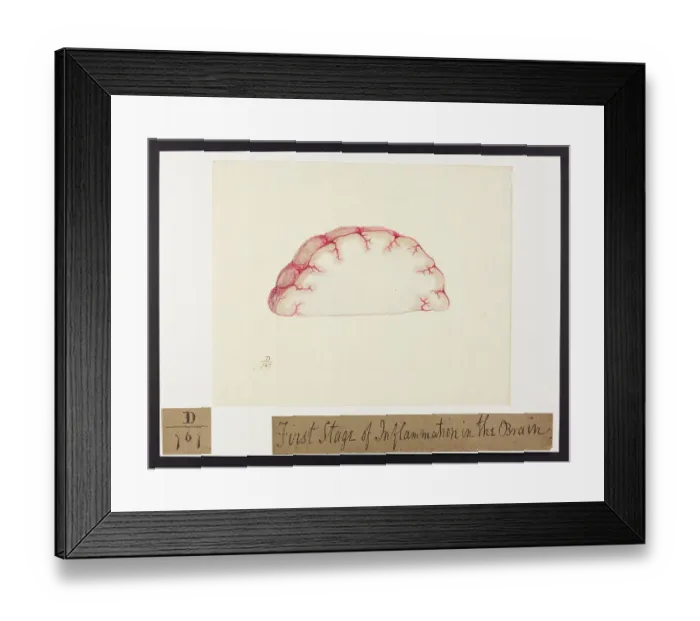 Framed Print : 13741690 Framed Print : 13741690