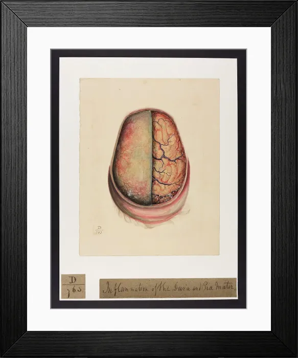 Framed Print : 13741687 Framed Print : 13741687