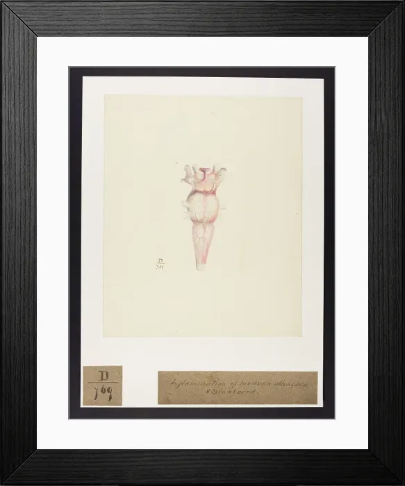 Framed Print : 13741692 Framed Print : 13741692