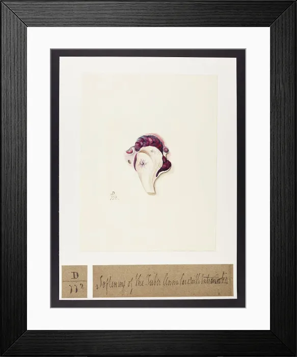 Framed Print : 13741695 Framed Print : 13741695