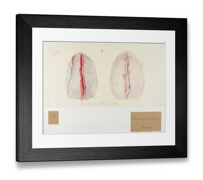 Framed Print : 13741703 Framed Print : 13741703