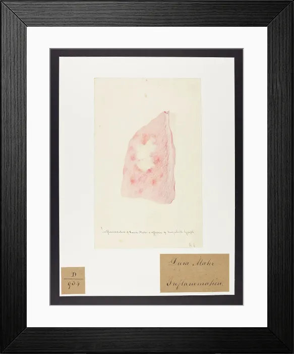 Framed Print : 13741705 Framed Print : 13741705