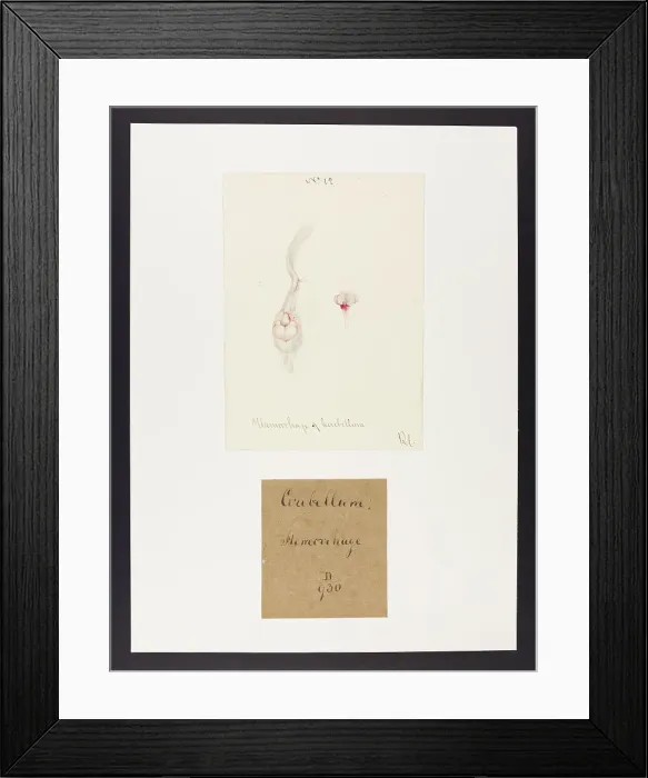 Framed Print : 13741702 Framed Print : 13741702