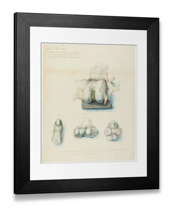 Framed Print : 13741708 Framed Print : 13741708