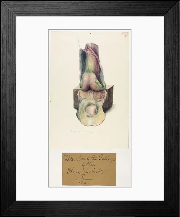 Framed Print : 13741709 Framed Print : 13741709