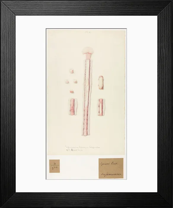 Framed Print : 13741706 Framed Print : 13741706