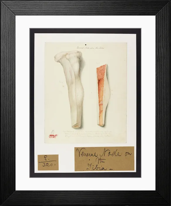Framed Print : 13741712 Framed Print : 13741712