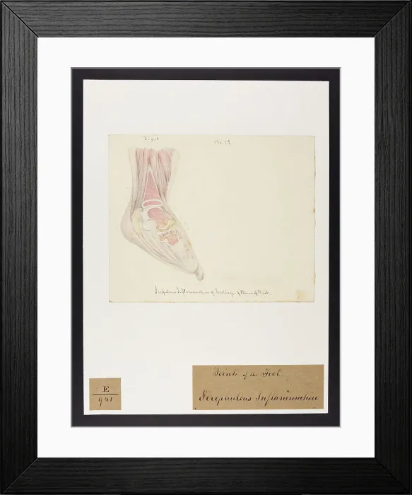 Framed Print : 13741717 Framed Print : 13741717