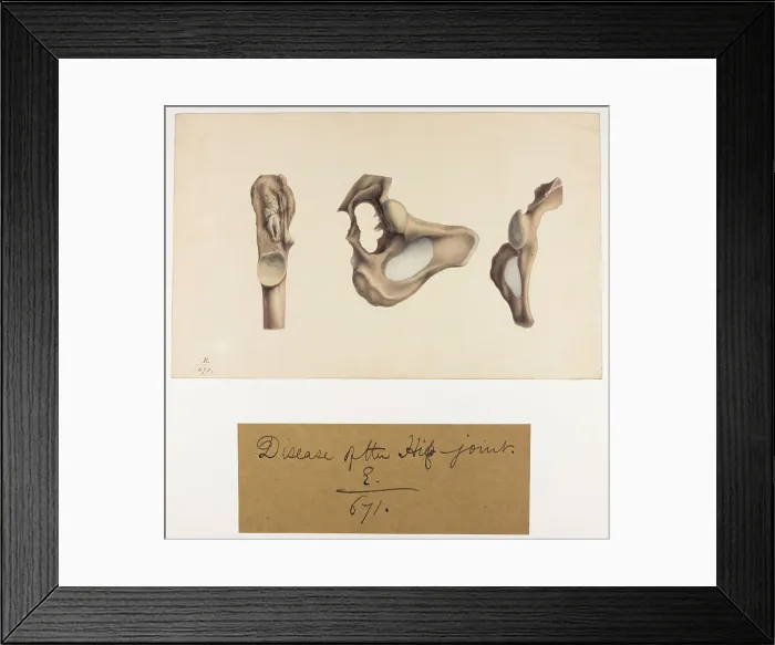 Framed Print : 13741715 Framed Print : 13741715