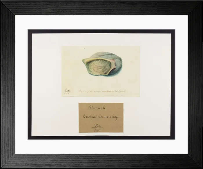 Framed Print : 13741724 Framed Print : 13741724