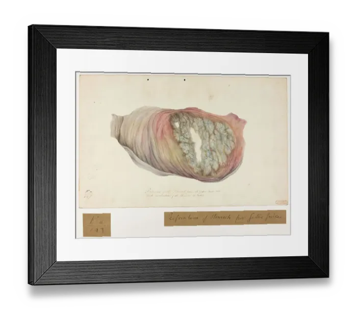 Framed Print : 13741726 Framed Print : 13741726