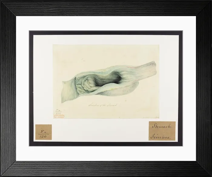 Framed Print : 13741727 Framed Print : 13741727