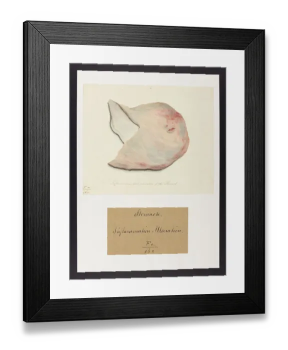 Framed Print : 13741729 Framed Print : 13741729