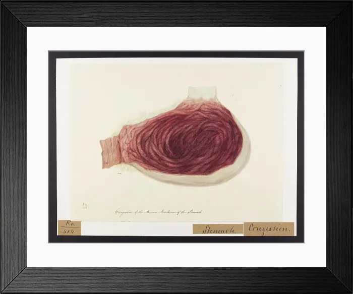 Framed Print : 13741736 Framed Print : 13741736