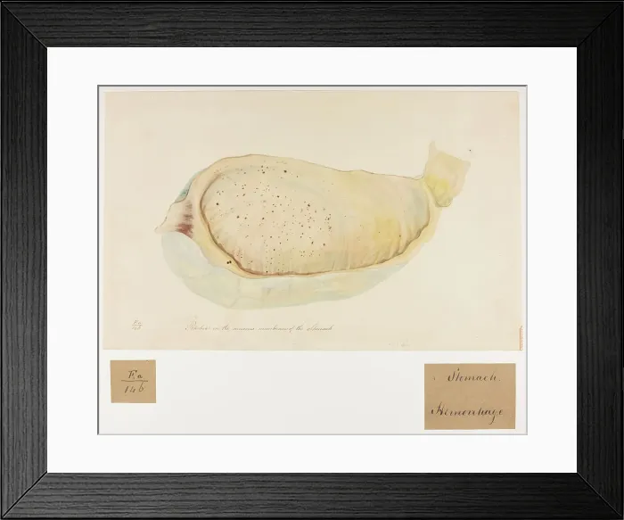 Framed Print : 13741725 Framed Print : 13741725