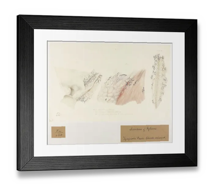 Framed Print : 13741739 Framed Print : 13741739