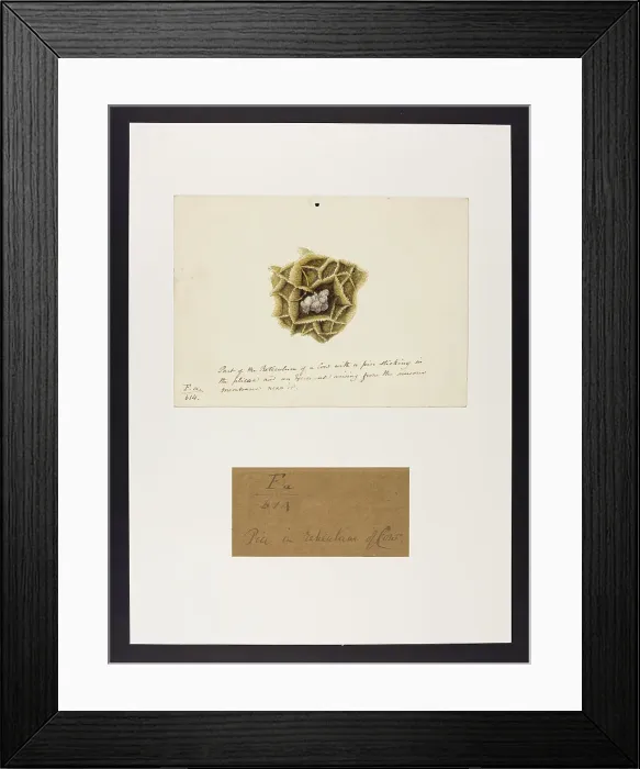 Framed Print : 13741749 Framed Print : 13741749