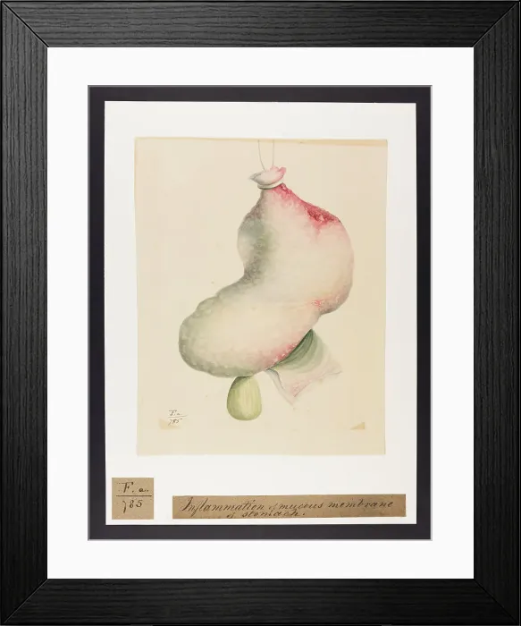 Framed Print : 13741756 Framed Print : 13741756