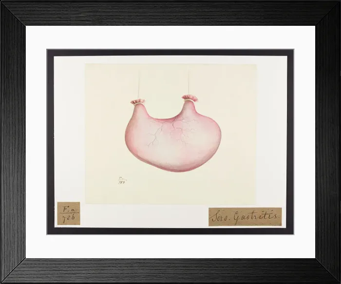 Framed Print : 13741757 Framed Print : 13741757
