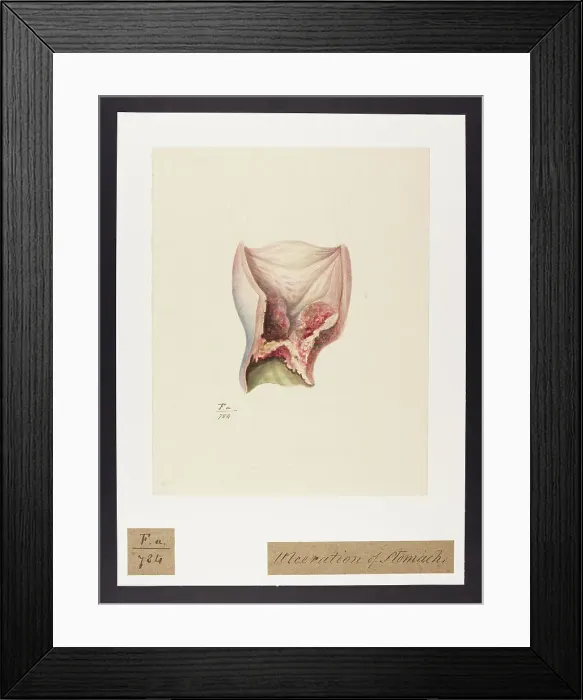 Framed Print : 13741755 Framed Print : 13741755
