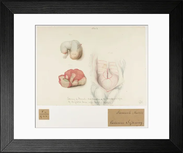 Framed Print : 13741759 Framed Print : 13741759