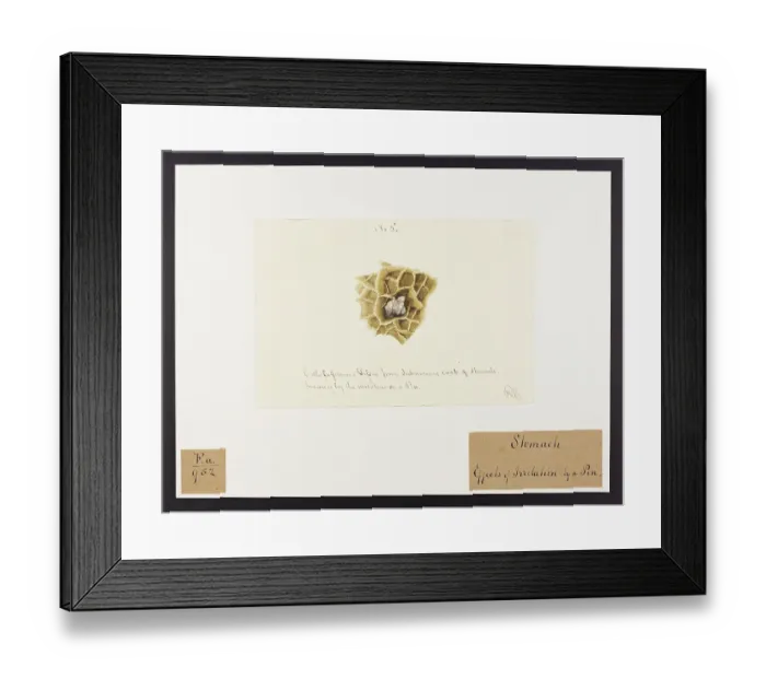 Framed Print : 13741765 Framed Print : 13741765
