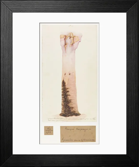 Framed Print : 13741764 Framed Print : 13741764