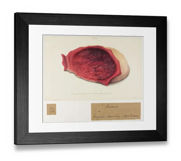 Framed Print : 13741767 Framed Print : 13741767