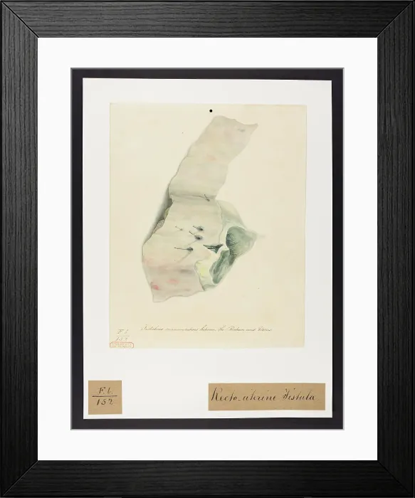 Framed Print : 13741773 Framed Print : 13741773