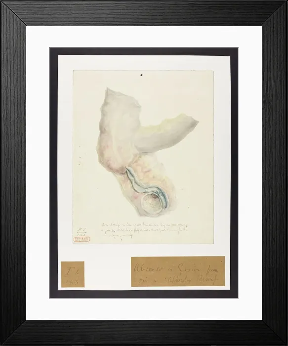 Framed Print : 13741774 Framed Print : 13741774
