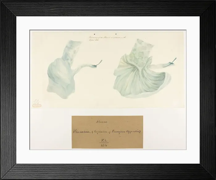 Framed Print : 13741775 Framed Print : 13741775