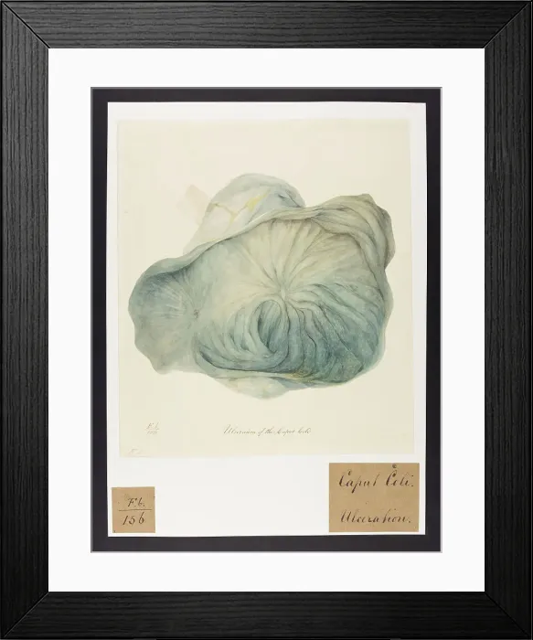 Framed Print : 13741777 Framed Print : 13741777