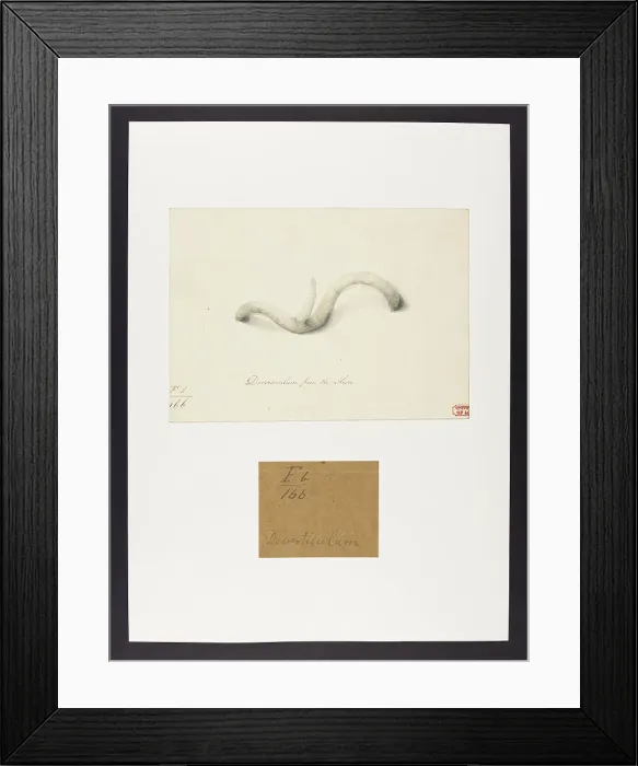 Framed Print : 13741778 Framed Print : 13741778