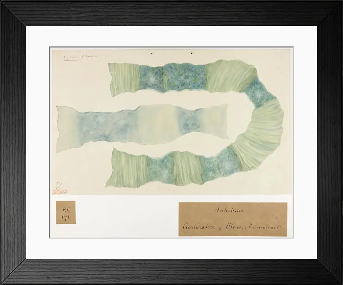 Framed Print : 13741781 Framed Print : 13741781