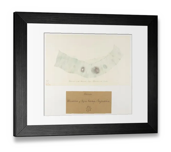 Framed Print : 13741784 Framed Print : 13741784