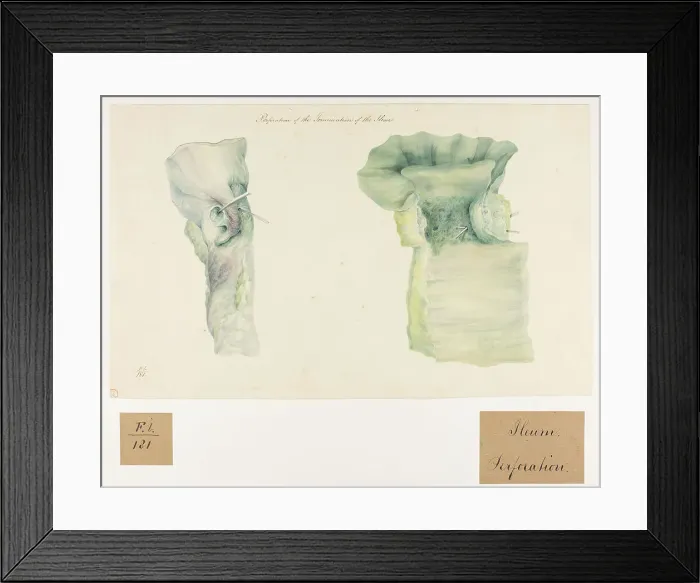 Framed Print : 13741788 Framed Print : 13741788