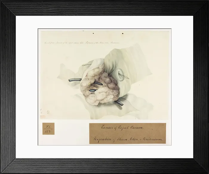 Framed Print : 13741789 Framed Print : 13741789