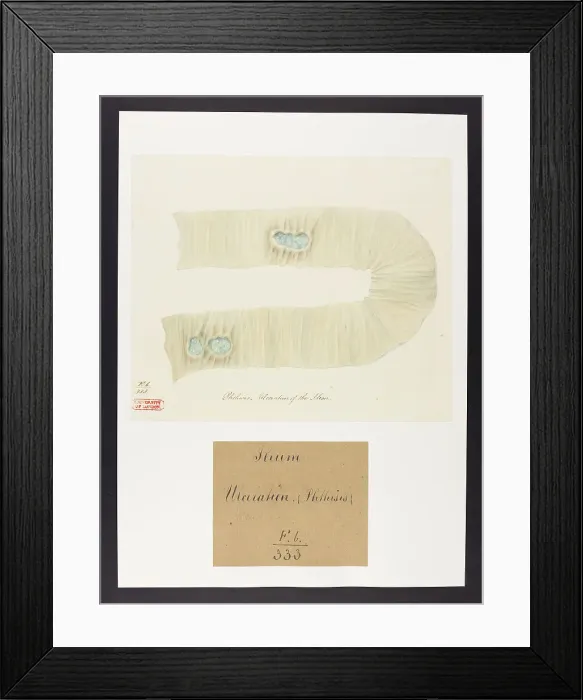 Framed Print : 13741796 Framed Print : 13741796