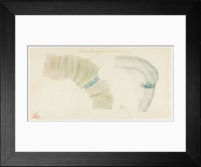 Framed Print : 13741798 Framed Print : 13741798