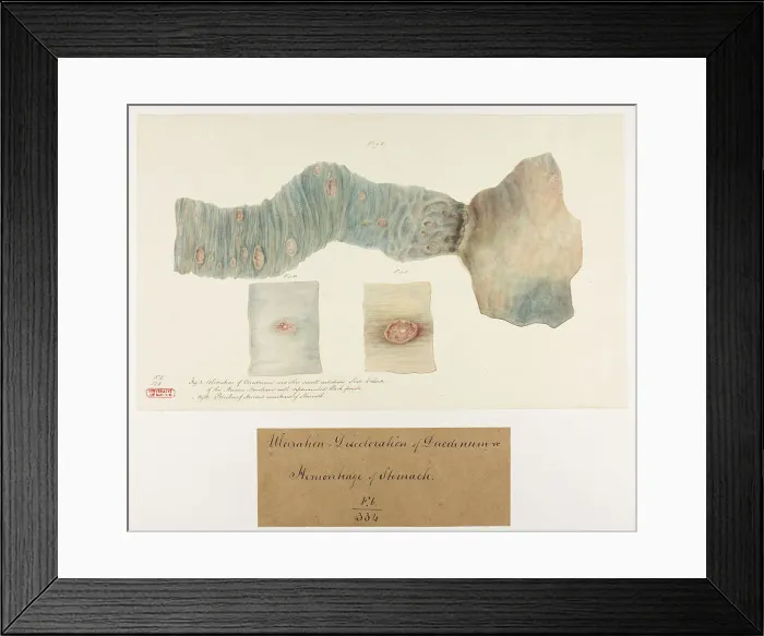 Framed Print : 13741797 Framed Print : 13741797