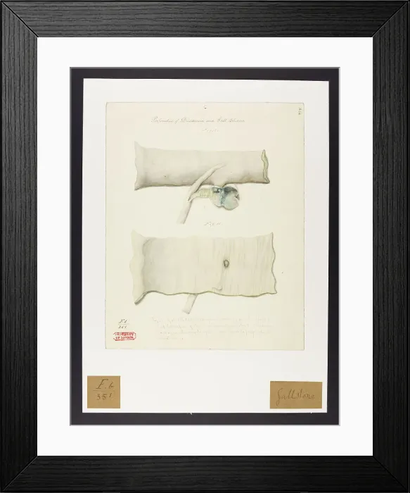 Framed Print : 13741804 Framed Print : 13741804
