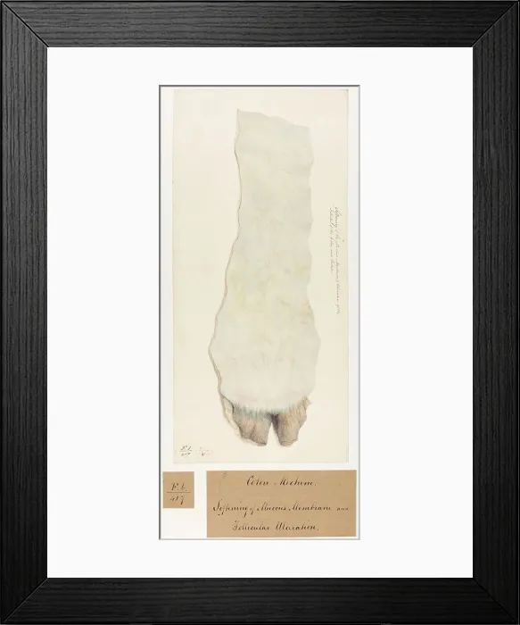 Framed Print : 13741806 Framed Print : 13741806