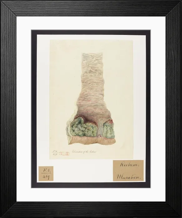 Framed Print : 13741808 Framed Print : 13741808