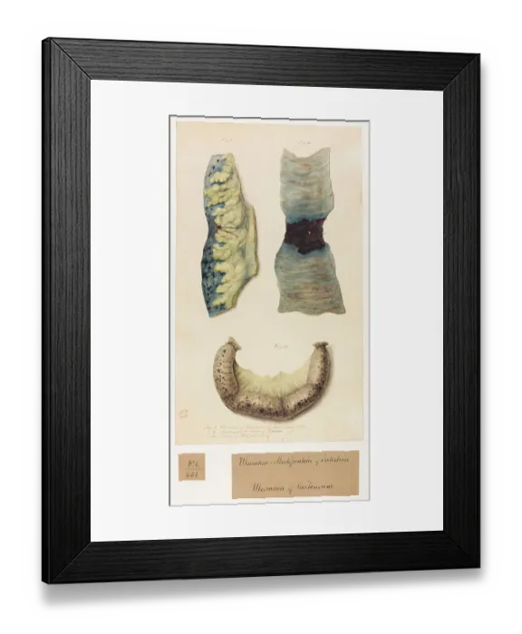 Framed Print : 13741809 Framed Print : 13741809